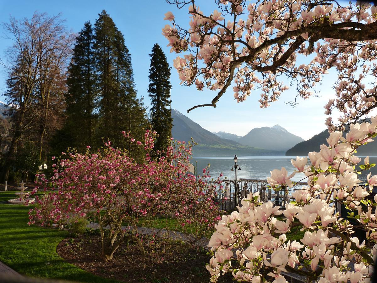 Hotel Vitznauerhof - Lifestyle Hideaway At Lake Lucerne Oda fotoğraf